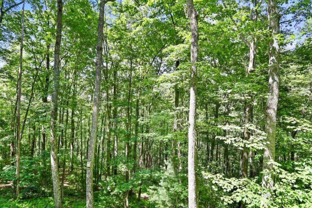 Open Studio Lodge At Little Rock Creek Cherry Log Екстер'єр фото