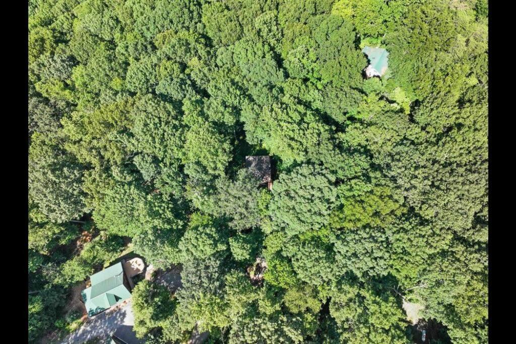 Open Studio Lodge At Little Rock Creek Cherry Log Екстер'єр фото